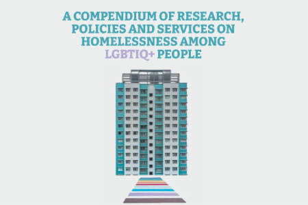  A Compendium of Research, Policies and Services on Homelessness among LGBTIQ+ people 